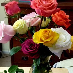 Meet your Posher, Lori